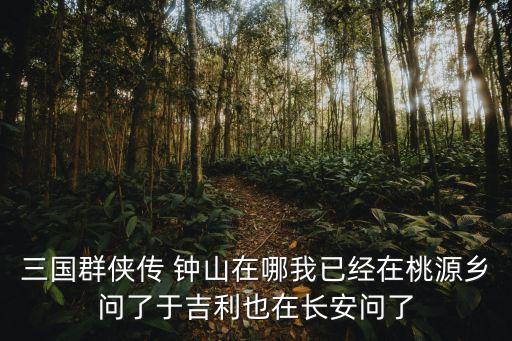 三國群俠傳 鐘山在哪我已經在桃源鄉問了于吉利也在長安問了
