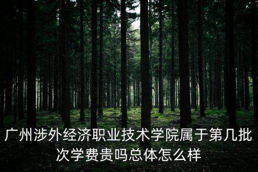 廣州涉外經濟學院，廣東涉外經濟學院學會計學費多少