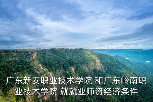廣東新安職業(yè)技術(shù)學(xué)院 和廣東嶺南職業(yè)技術(shù)學(xué)院 就就業(yè)師資經(jīng)濟(jì)條件