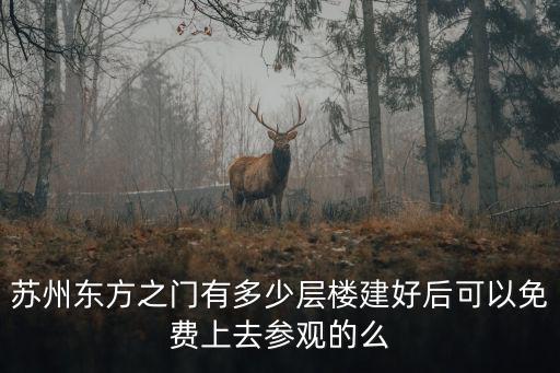 蘇州東方之門有多少層樓建好后可以免費上去參觀的么
