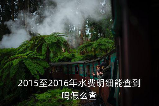 2015至2016年水費明細能查到嗎怎么查