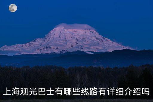 上海觀光巴士有哪些線路有詳細介紹嗎
