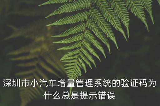 深圳市小汽車增量管理系統的驗證碼為什么總是提示錯誤