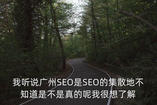 我聽說廣州SEO是SEO的集散地不知道是不是真的呢我很想了解