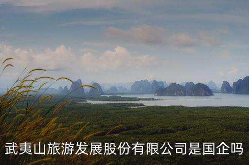 武夷山旅游發展股份有限公司是國企嗎