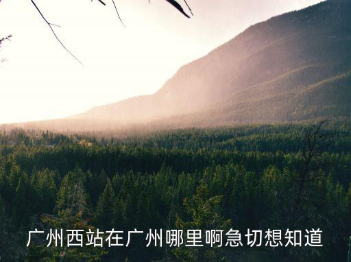 廣州西站在廣州哪里啊急切想知道
