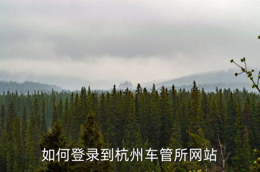 如何登錄到杭州車管所網站