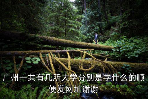 廣州一共有幾所大學分別是學什么的順便發網址謝謝