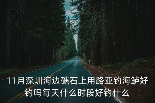 11月深圳海邊礁石上用路亞釣海鱸好釣嗎每天什么時(shí)段好釣什么