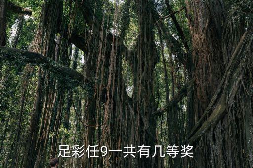任選9場，足彩任9一共有幾等獎