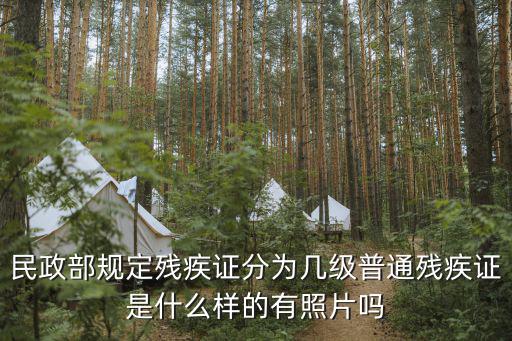 民政部規定殘疾證分為幾級普通殘疾證是什么樣的有照片嗎