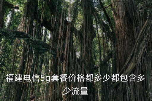 福建電信5g套餐價格都多少都包含多少流量