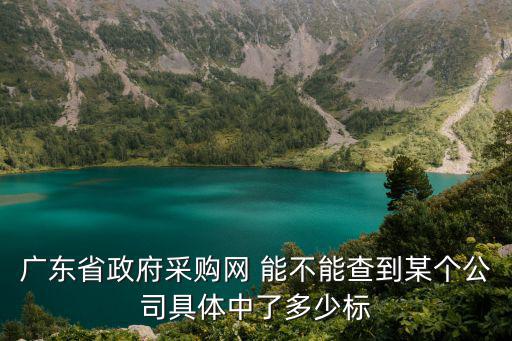 廣東省政府采購網 能不能查到某個公司具體中了多少標