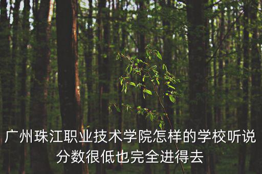 廣州珠江職業技術學院怎樣的學校聽說分數很低也完全進得去