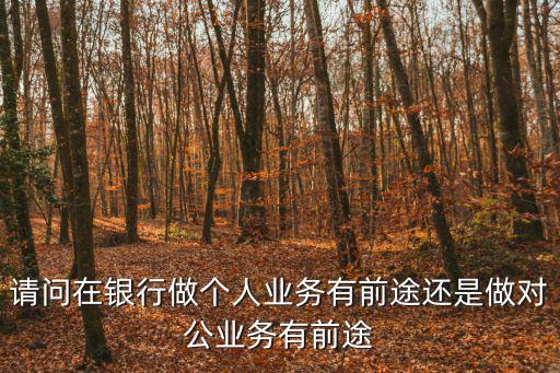 個人業務，請問在銀行做個人業務有前途還是做對公業務有前途