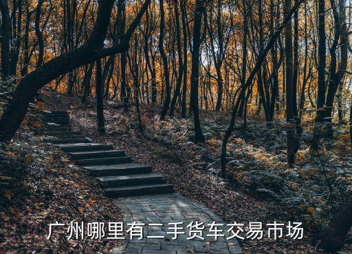 廣州哪里有二手貨車交易市場
