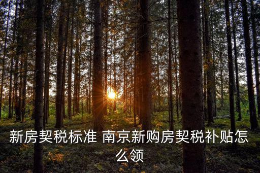 新房契稅標準 南京新購房契稅補貼怎么領
