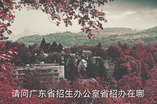 請(qǐng)問廣東省招生辦公室省招辦在哪