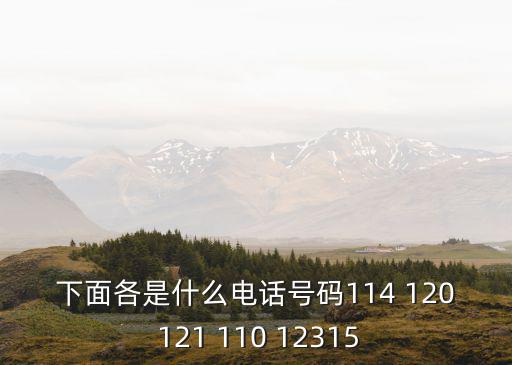 下面各是什么電話號碼114 120 121 110 12315