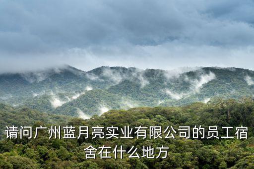 廣州藍月亮實業有限公司，廣州藍月亮實業有限公司的公司屬性是