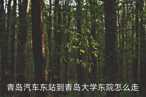 青島汽車東站到青島大學東院怎么走
