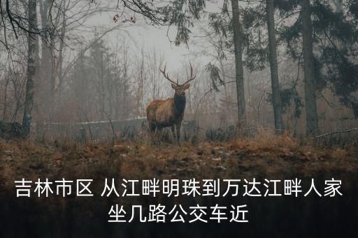 吉林市區 從江畔明珠到萬達江畔人家坐幾路公交車近