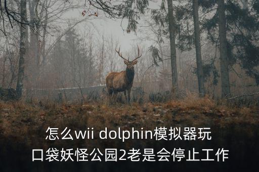 怎么wii dolphin模擬器玩口袋妖怪公園2老是會(huì)停止工作