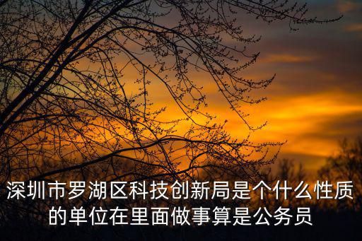 深圳市科技創新委員會，深圳市羅湖區科技創新局是個什么性質的單位在里面做事算是公務員