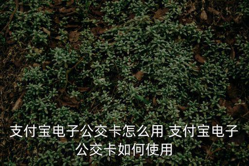 電子公交卡，支付寶電子公交卡怎么用 支付寶電子公交卡如何使用
