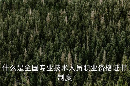 什么是全國專業技術人員職業資格證書制度