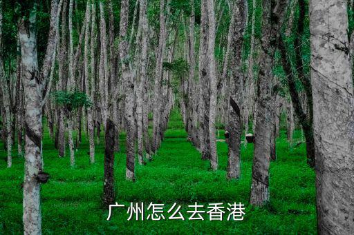 廣州怎么去香港