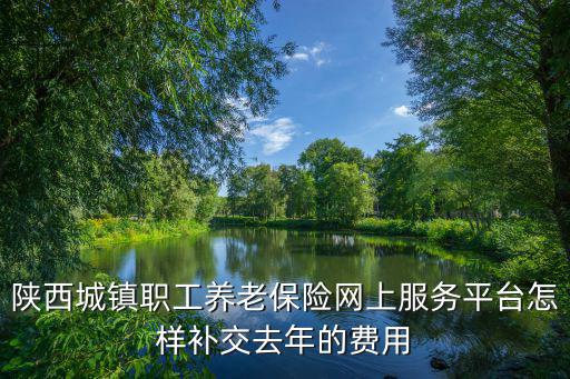 陜西城鎮職工養老保險網上服務平臺怎樣補交去年的費用