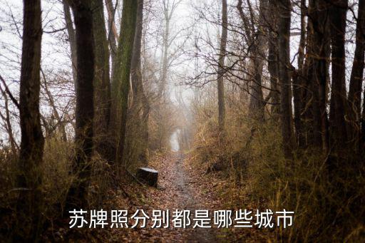 蘇牌照分別都是哪些城市