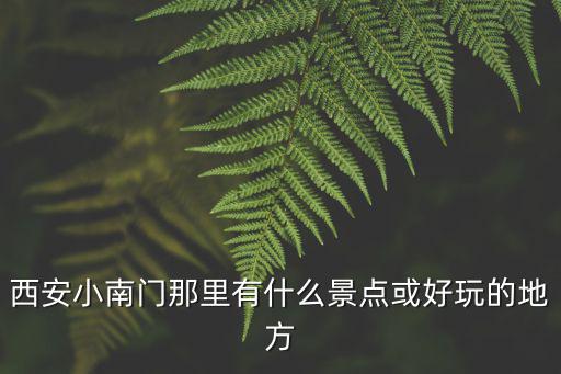 小南門，煙臺小南門屬于那個區