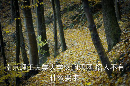 南京理工大學(xué)大學(xué)交響樂團 招人不有什么要求