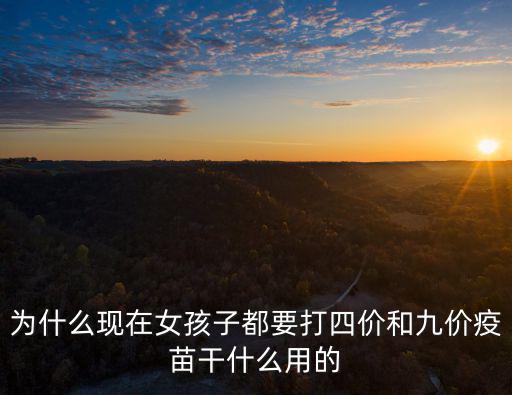 為什么現(xiàn)在女孩子都要打四價(jià)和九價(jià)疫苗干什么用的