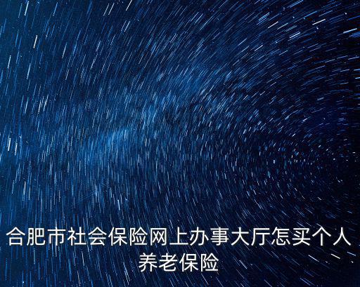合肥市社會保險網上辦事大廳怎買個人養老保險
