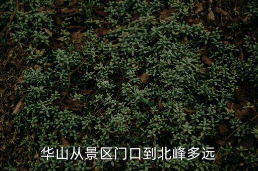華山從景區門口到北峰多遠