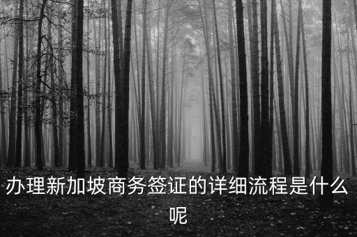 辦理新加坡商務簽證的詳細流程是什么呢