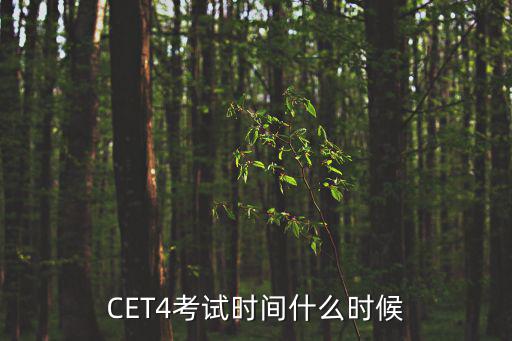 CET4考試時間什么時候