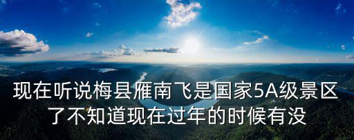 現在聽說梅縣雁南飛是國家5A級景區了不知道現在過年的時候有沒