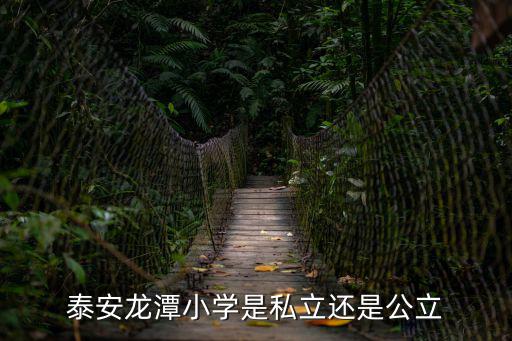 泰安龍?zhí)缎W(xué)是私立還是公立