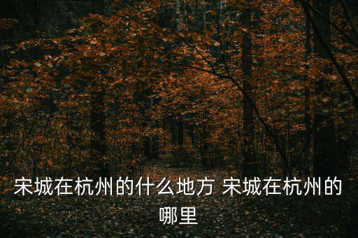 宋城在杭州的什么地方 宋城在杭州的哪里