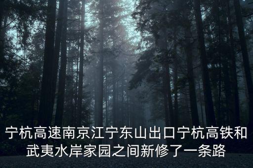 寧杭高速南京江寧東山出口寧杭高鐵和武夷水岸家園之間新修了一條路