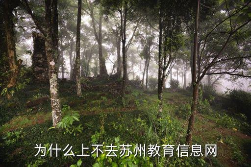 為什么上不去蘇州教育信息網(wǎng)