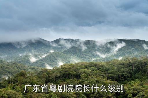 廣東省粵劇院院長什么級別