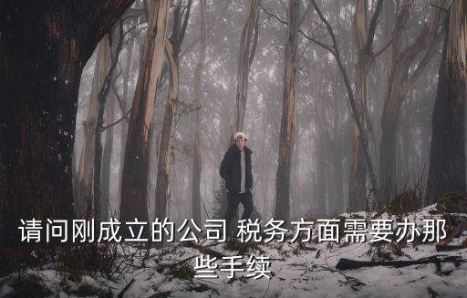 請問剛成立的公司 稅務方面需要辦那些手續