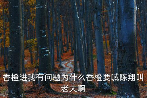 香橙進我有問題為什么香橙要喊陳翔叫老大啊