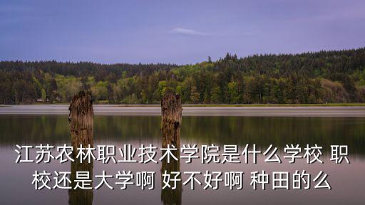 江蘇農(nóng)林職業(yè)技術(shù)學(xué)院是什么學(xué)校 職校還是大學(xué)啊 好不好啊 種田的么