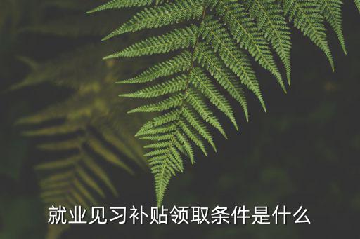 就業見習補貼領取條件是什么